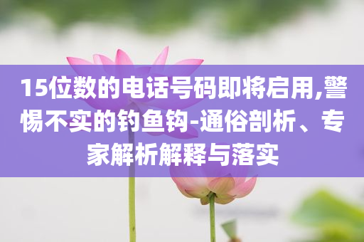 15位數(shù)的電話(huà)號(hào)碼即將啟用,警惕不實(shí)的釣魚(yú)鉤-通俗剖析、專(zhuān)家解析解釋與落實(shí)