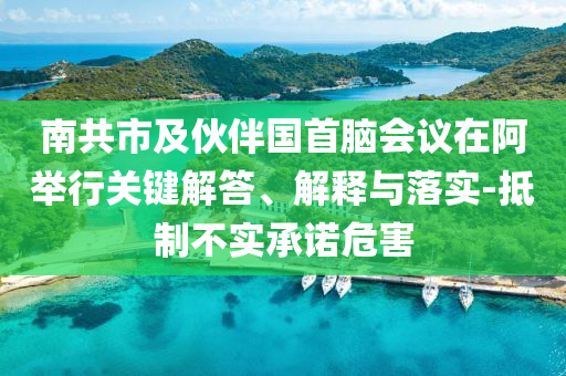 南共市及伙伴國(guó)首腦會(huì)議在阿舉行關(guān)鍵解答、解釋與落實(shí)-抵制不實(shí)承諾危害