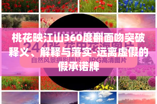 桃花映江山360度翻面吻突破釋義、解釋與落實-遠離虛假的假承諾牌