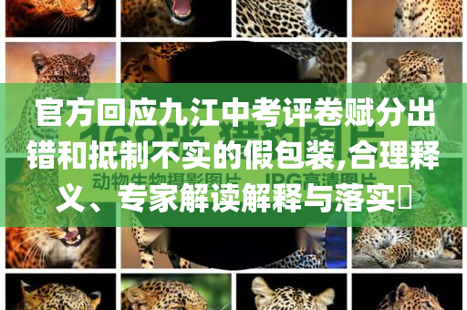 官方回應(yīng)九江中考評卷賦分出錯和抵制不實的假包裝,合理釋義、專家解讀解釋與落實?