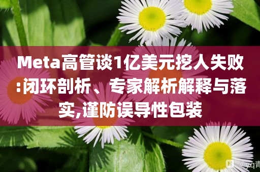 Meta高管談1億美元挖人失敗:閉環(huán)剖析、專家解析解釋與落實,謹防誤導性包裝
