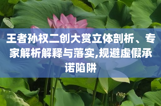 王者孫權(quán)二創(chuàng)大賞立體剖析、專家解析解釋與落實(shí),規(guī)避虛假承諾陷阱