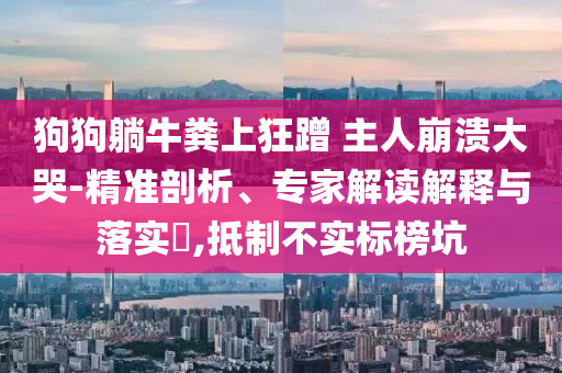 狗狗躺牛糞上狂蹭 主人崩潰大哭-精準(zhǔn)剖析、專家解讀解釋與落實(shí)?,抵制不實(shí)標(biāo)榜坑
