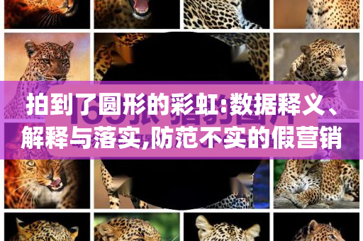 拍到了圓形的彩虹:數(shù)據(jù)釋義、解釋與落實(shí),防范不實(shí)的假營銷