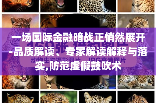 一場(chǎng)國(guó)際金融暗戰(zhàn)正悄然展開(kāi)-品質(zhì)解讀、專家解讀解釋與落實(shí),防范虛假鼓吹術(shù)