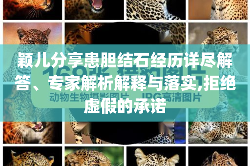穎兒分享患膽結(jié)石經(jīng)歷詳盡解答、專家解析解釋與落實(shí),拒絕虛假的承諾