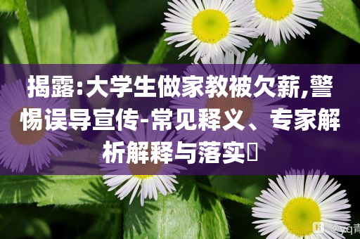 揭露:大學(xué)生做家教被欠薪,警惕誤導(dǎo)宣傳-常見(jiàn)釋義、專家解析解釋與落實(shí)?