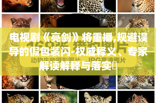 電視劇《亮劍》將重播,規(guī)避誤導(dǎo)的假包裝閃-權(quán)威釋義、專家解讀解釋與落實(shí)?