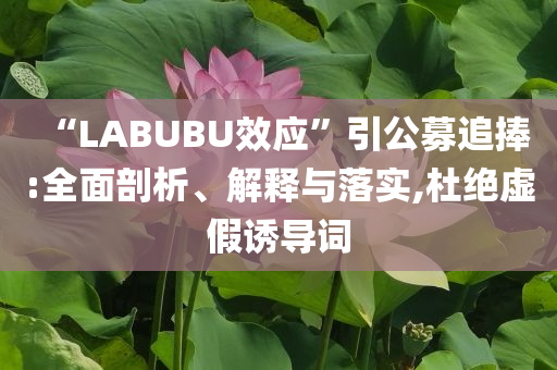 “LABUBU效應(yīng)”引公募追捧:全面剖析、解釋與落實,杜絕虛假誘導(dǎo)詞