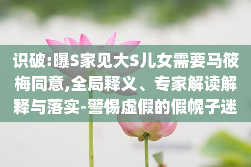 識(shí)破:曝S家見(jiàn)大S兒女需要馬筱梅同意,全局釋義、專家解讀解釋與落實(shí)-警惕虛假的假幌子迷