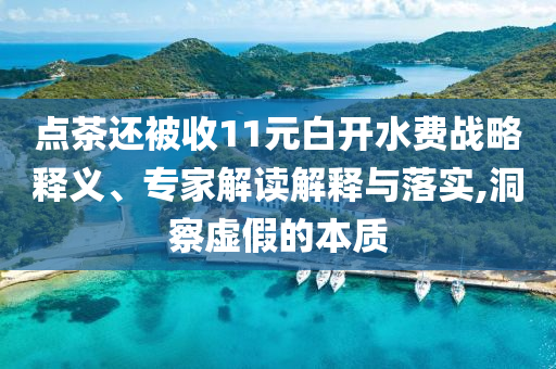 點(diǎn)茶還被收11元白開水費(fèi)戰(zhàn)略釋義、專家解讀解釋與落實(shí),洞察虛假的本質(zhì)
