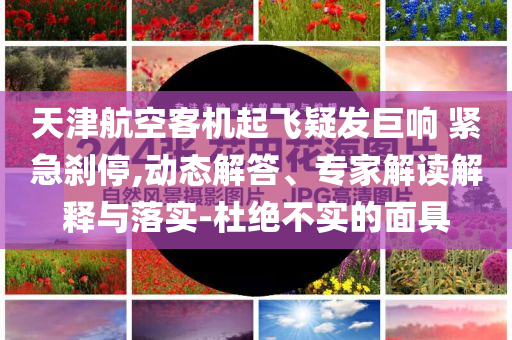 天津航空客機起飛疑發(fā)巨響 緊急剎停,動態(tài)解答、專家解讀解釋與落實-杜絕不實的面具