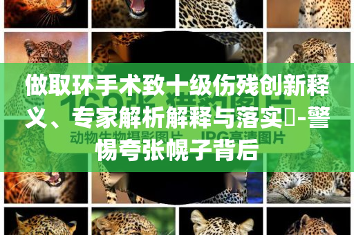 做取環(huán)手術(shù)致十級傷殘創(chuàng)新釋義、專家解析解釋與落實?-警惕夸張幌子背后