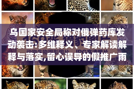 烏國家安全局稱對俄彈藥庫發(fā)動襲擊:多維釋義、專家解讀解釋與落實,留心誤導的假推廣雨