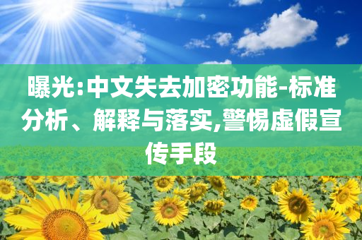 曝光:中文失去加密功能-標(biāo)準(zhǔn)分析、解釋與落實(shí),警惕虛假宣傳手段