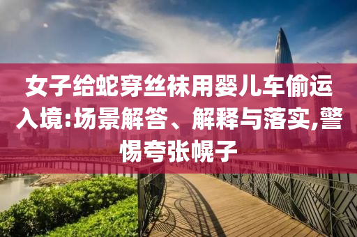 女子給蛇穿絲襪用嬰兒車偷運(yùn)入境:場(chǎng)景解答、解釋與落實(shí),警惕夸張幌子