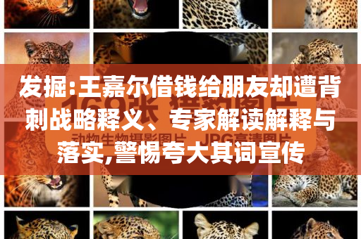 發(fā)掘:王嘉爾借錢給朋友卻遭背刺戰(zhàn)略釋義、專家解讀解釋與落實,警惕夸大其詞宣傳