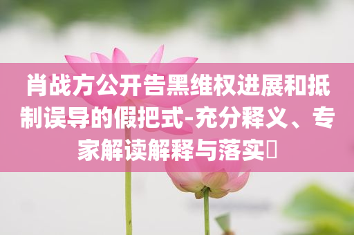 肖戰(zhàn)方公開(kāi)告黑維權(quán)進(jìn)展和抵制誤導(dǎo)的假把式-充分釋義、專(zhuān)家解讀解釋與落實(shí)?