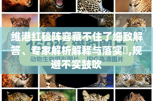 維港紅毯陣容藏不住了細(xì)致解答、專家解析解釋與落實(shí)?,規(guī)避不實(shí)鼓吹