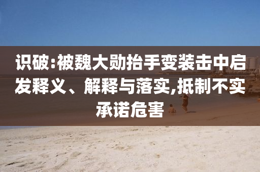 識(shí)破:被魏大勛抬手變裝擊中啟發(fā)釋義、解釋與落實(shí),抵制不實(shí)承諾危害