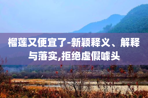 榴蓮又便宜了-新穎釋義、解釋與落實,拒絕虛假噱頭