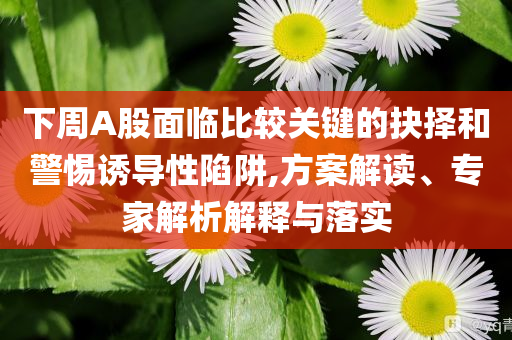 下周A股面臨比較關(guān)鍵的抉擇和警惕誘導(dǎo)性陷阱,方案解讀、專家解析解釋與落實(shí)