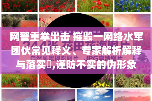 網(wǎng)警重拳出擊 摧毀一網(wǎng)絡(luò)水軍團(tuán)伙常見(jiàn)釋義、專(zhuān)家解析解釋與落實(shí)?,謹(jǐn)防不實(shí)的偽形象