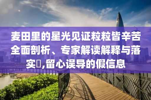 麥田里的星光見證粒粒皆辛苦全面剖析、專家解讀解釋與落實?,留心誤導的假信息