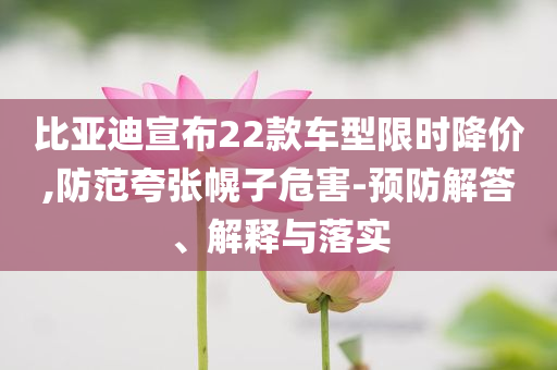 比亞迪宣布22款車型限時降價,防范夸張幌子危害-預(yù)防解答、解釋與落實