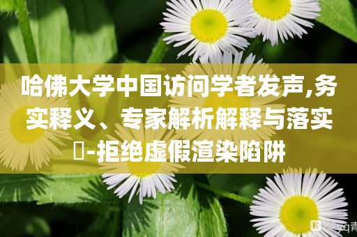 哈佛大學(xué)中國(guó)訪問學(xué)者發(fā)聲,務(wù)實(shí)釋義、專家解析解釋與落實(shí)?-拒絕虛假渲染陷阱