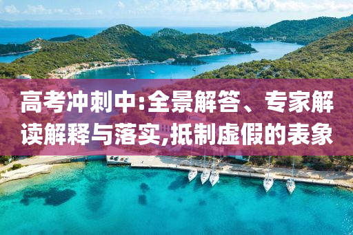 高考沖刺中:全景解答、專家解讀解釋與落實(shí),抵制虛假的表象