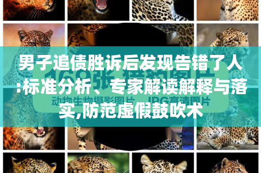 男子追債勝訴后發(fā)現(xiàn)告錯了人:標準分析、專家解讀解釋與落實,防范虛假鼓吹術