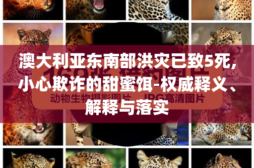 澳大利亞東南部洪災(zāi)已致5死,小心欺詐的甜蜜餌-權(quán)威釋義、解釋與落實(shí)