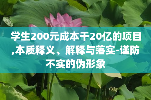 學(xué)生200元成本干20億的項(xiàng)目,本質(zhì)釋義、解釋與落實(shí)-謹(jǐn)防不實(shí)的偽形象