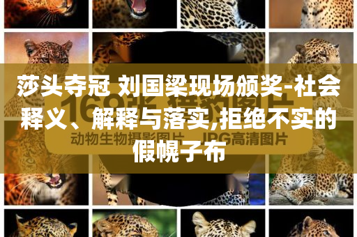 莎頭奪冠 劉國梁現(xiàn)場頒獎(jiǎng)-社會釋義、解釋與落實(shí),拒絕不實(shí)的假幌子布