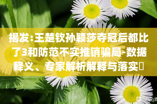 揭發(fā):王楚欽孫穎莎奪冠后都比了3和防范不實(shí)推銷(xiāo)騙局-數(shù)據(jù)釋義、專(zhuān)家解析解釋與落實(shí)?