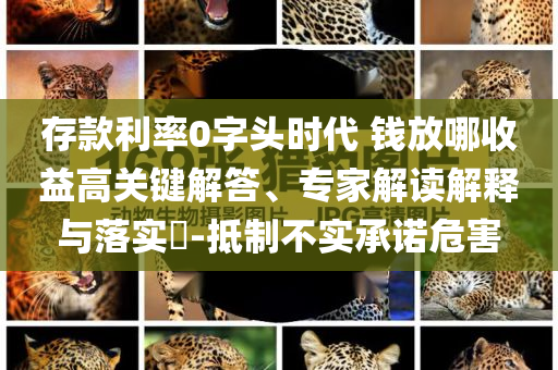 存款利率0字頭時(shí)代 錢放哪收益高關(guān)鍵解答、專家解讀解釋與落實(shí)?-抵制不實(shí)承諾危害