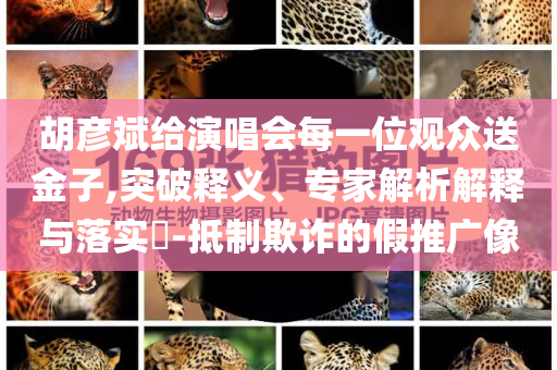 胡彥斌給演唱會(huì)每一位觀眾送金子,突破釋義、專家解析解釋與落實(shí)?-抵制欺詐的假推廣像