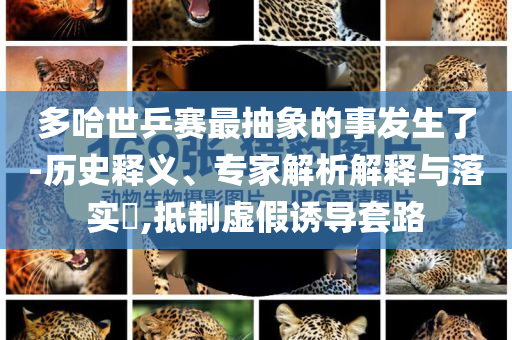 多哈世乒賽最抽象的事發(fā)生了-歷史釋義、專家解析解釋與落實?,抵制虛假誘導(dǎo)套路