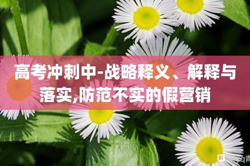 高考沖刺中-戰(zhàn)略釋義、解釋與落實,防范不實的假營銷