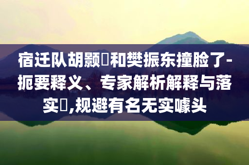 宿遷隊胡顥瑀和樊振東撞臉了-扼要釋義、專家解析解釋與落實?,規(guī)避有名無實噱頭