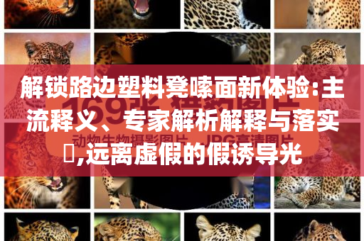 解鎖路邊塑料凳嗦面新體驗(yàn):主流釋義、專家解析解釋與落實(shí)?,遠(yuǎn)離虛假的假誘導(dǎo)光
