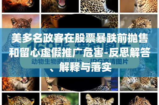 美多名政客在股票暴跌前拋售和留心虛假推廣危害-反思解答、解釋與落實