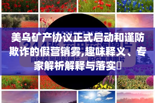 美烏礦產(chǎn)協(xié)議正式啟動和謹(jǐn)防欺詐的假營銷霧,趣味釋義、專家解析解釋與落實?