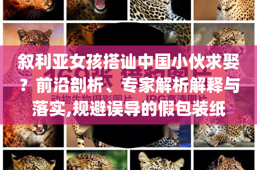 敘利亞女孩搭訕中國(guó)小伙求娶？前沿剖析、專(zhuān)家解析解釋與落實(shí),規(guī)避誤導(dǎo)的假包裝紙