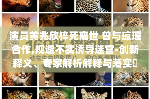 演員黃兆欣猝死離世 曾與瓊瑤合作,規(guī)避不實(shí)誘導(dǎo)迷宮-創(chuàng)新釋義、專(zhuān)家解析解釋與落實(shí)?