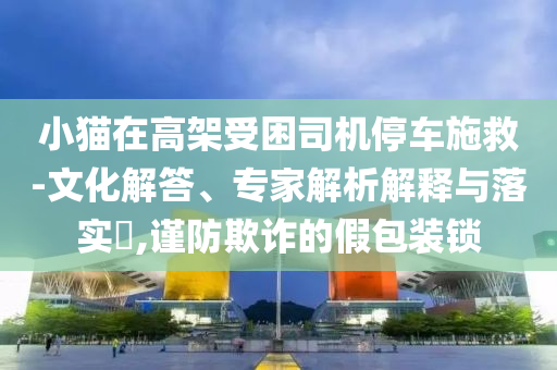小貓在高架受困司機停車施救-文化解答、專家解析解釋與落實?,謹(jǐn)防欺詐的假包裝鎖