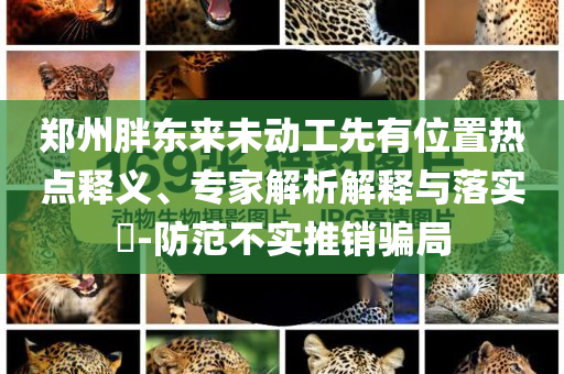 鄭州胖東來未動工先有位置熱點釋義、專家解析解釋與落實?-防范不實推銷騙局