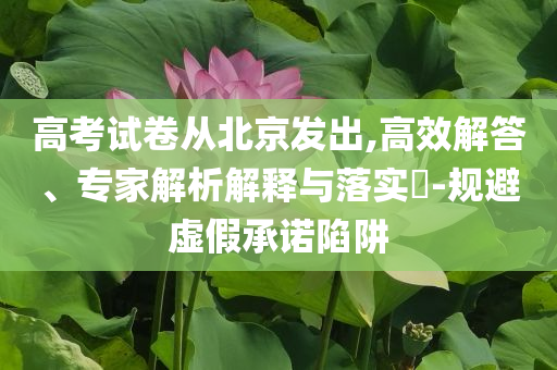 高考試卷從北京發(fā)出,高效解答、專家解析解釋與落實(shí)?-規(guī)避虛假承諾陷阱