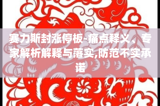 賽力斯封漲停板-痛點釋義、專家解析解釋與落實,防范不實承諾